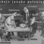 Język polski - przypadki