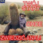 Twój stary chce zwiedzic anal ;]