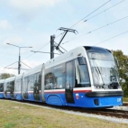 20210812132138DSC0701Copy.JPG_678-443