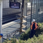 202108121149242233788154676786395688041628145662441147258n.jpg_732-490