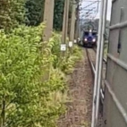 202108201243182386170673360022247202997351244575900300248n.jpg_732-419