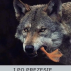 206656088_881622892706822_6514300639326018310_n