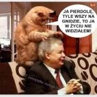 216248790_887423835460061_3771720496085415569_n