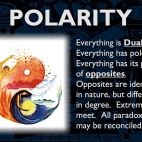 Polarność