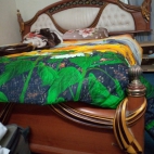 inbound7617947318181952697