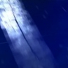 licencja na wychowanie