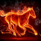 ogien-18jpg-3115333313572sudm1x0kq