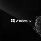 windows-10 puma 2