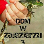 Dom w Zajezierzu 3