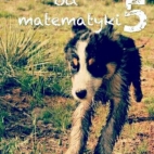 Ojczym od matematyki 5