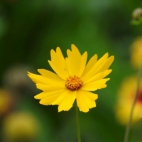 tumblr_olenq5FS7R1thga9fo2_500 (1)