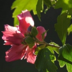 tumblr_olenq5FS7R1thga9fo3_500