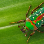 a638c0b0ec411a86d94cf48f2618d00e_900