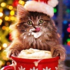 swiat_dajacych_radosc_0-07563199