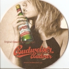 piwo beer pivo bier Budweiser 1