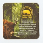 piwo beer pivo bier Żubr 2