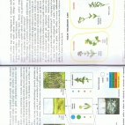 biologia rosliny wskaznikowe 19-20