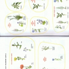 biologia rosliny wskaznikowe 20-21