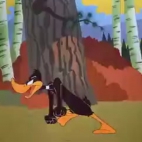 kaczor daffy