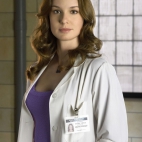 Sarah Wayne Callies as Dr. Sara Tancredi