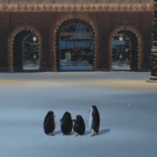 madagaskar-święta w zoo