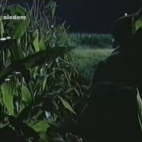 opowieść o niemym słudze