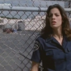 - Video w Vider.info