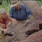The of Jurassic Park (Lektor PL) - CDA