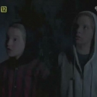 Gęsia nawiedzona plaża 2 - CDA