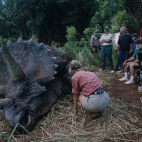 MV5BZDE3YjMyOGYtZDhkMy00OWU3LWJmOTMtMWM3MGQ3NTg0NmZjXkEyXkFqcGdeQXVyMjI3NzE4MTM@._V1_