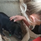 schronisko w radysach