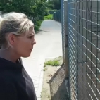 schronisko wr adysach