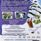 SCOOBY-DOO-I-STRASZNA-ZIMA-POD-PSEM-DVD-Polska-wersja-jezykowa-dubbing-napisy