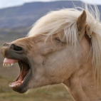 imago0101169071h-1150x600-1599574965