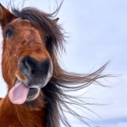 d14b19b7-4978-40e1-bcd9-b2fca92f5a7a