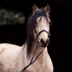 Hillbury-4969-600x400