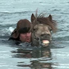 416J5qJ4ykL._AC_SY580_