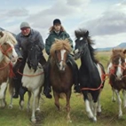 41zSN0cUtfL._AC_SY580_