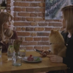 Zakochani po uszy - Sezon 1 Odcinek 340 - Filman.cc - Filmy