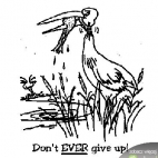 don't ever give up!