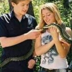 Klinika pod kangurem