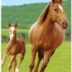 162b534e1fc35c44e43ff5844402c4c6_900