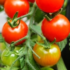 9415f9bcd76598f9c08127db1641b596_M