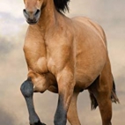 41ycNsripnL._AC_SY580_