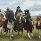 41zSN0cUtfL._AC_SY580_