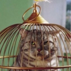 2b30707e7b5c7a0c8de46ec4ed5049b7_900