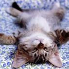 959ac0104b4642fb4b873b3d3b43f655_900