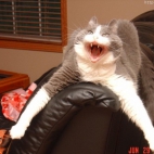 ad277e211de4746fc48999dda8168447_900