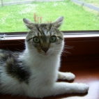 ec33ce8060735cddb16fb0c38d77277d_900