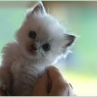 3282015239c0a8da0a687fd72cac0790_1920